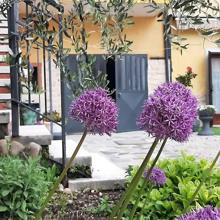 Apartment Al Borgo Sul Garda Via Pertica 8a *