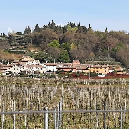 Al Borgo Sul Garda Via Pertica 8a *